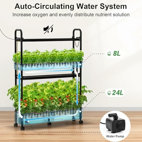 Auto-circulating water system with two-tier plant setup and water pump.
