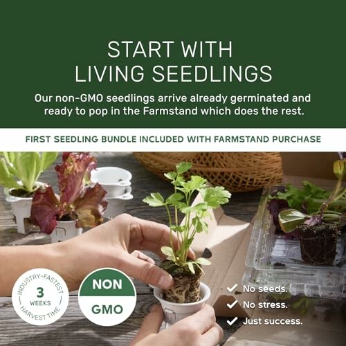 Non-GMO living seedlings for Farmstand with benefits.