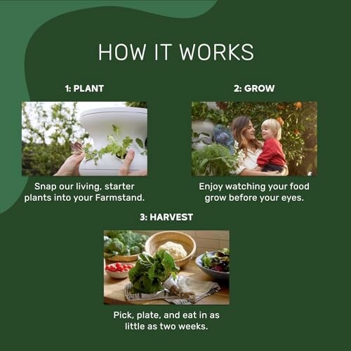 Infographic showing steps to plant, grow, and harvest using Farmstand.