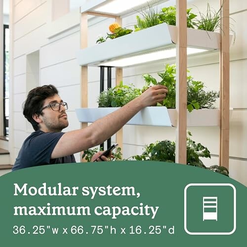 Man tending plants on a modular indoor garden system.
