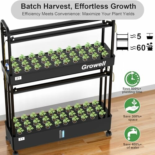 Indoor plant growing system with multiple tiers and efficiency benefits.