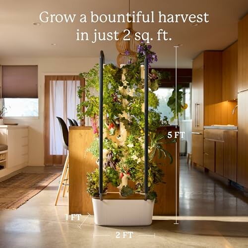 Indoor vertical garden with plants in a compact space.