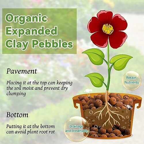Illustration of a plant in a pot with organic expanded clay pebbles, showing benefits for pavement and bottom.