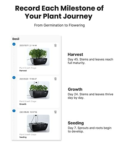 Plant growth stages from germination to flowering, showing harvest, growth, and seeding stages with images.
